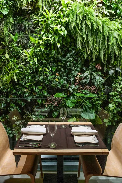 Restaurante Terraza De La O | Cocina Andaluza en Sevilla