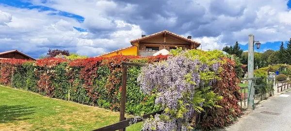 Camping el Roble Verde